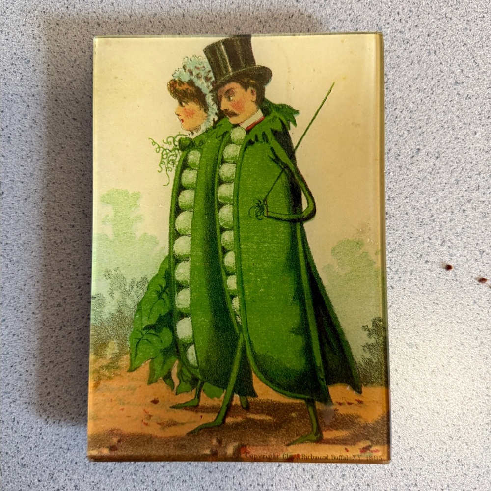 John Derian signed glass plate trinket tray with Victorian Pea Pod Illustration